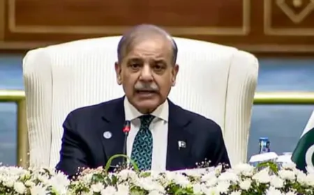 खून के आखिरी कतरे तक लड़ेंगे युद्ध', सीजफायर तोड़कर बौखला रहे पाकिस्तानी PM