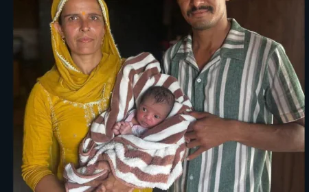 झाड़ियों से जीवन तक