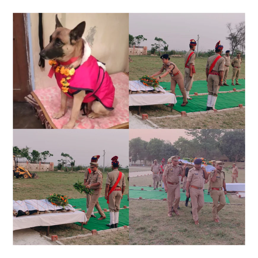Kasganj news पुलिस में कार्यरत स्वान जॉनी का बीमारी से निधन।