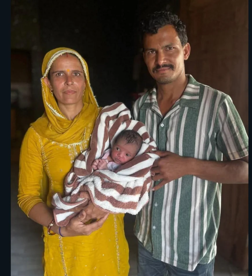 झाड़ियों से जीवन तक