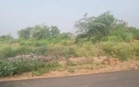 कृषि भूमि पर प्लॉट के रजिस्ट्रीकृत बैनामे करने पर उपनिबंधक को नोटिस