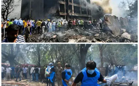 विमान हादसे की आग में जो आया कोई नहीं बचा, पक्षी भी हुए जलकर खाक