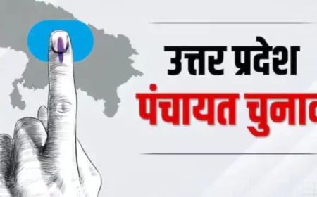 प्रदेश  में 504 ग्राम पंचायत घटी, अगले साल अप्रैल में चुनाव कराने की तैयारियांं शुरू