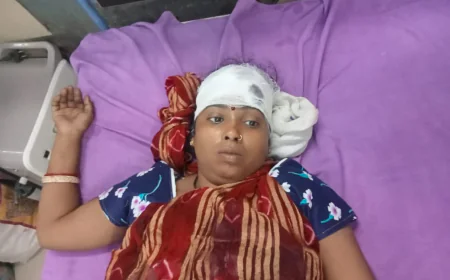 रुपयों के लेनदेन के विवाद में दो पक्षों में हुई मारपीट महिला गंभीर घायल अस्पताल में भर्ती