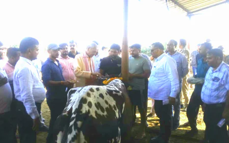 गौशालाओं में समुचित देखभाल सुनिश्चित करें -प्रभारी मंत्री श्री लक्ष्मी नारायण चौधरी