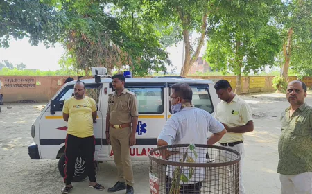 कटरा मे भीषण सड़क हादसा : टैंकर की चपेट में आए 7 लोग,3 की मौत,4 गंभीर घायल