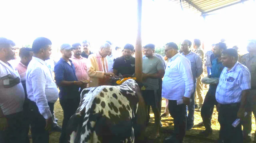 गौशालाओं में समुचित देखभाल सुनिश्चित करें -प्रभारी मंत्री श्री लक्ष्मी नारायण चौधरी