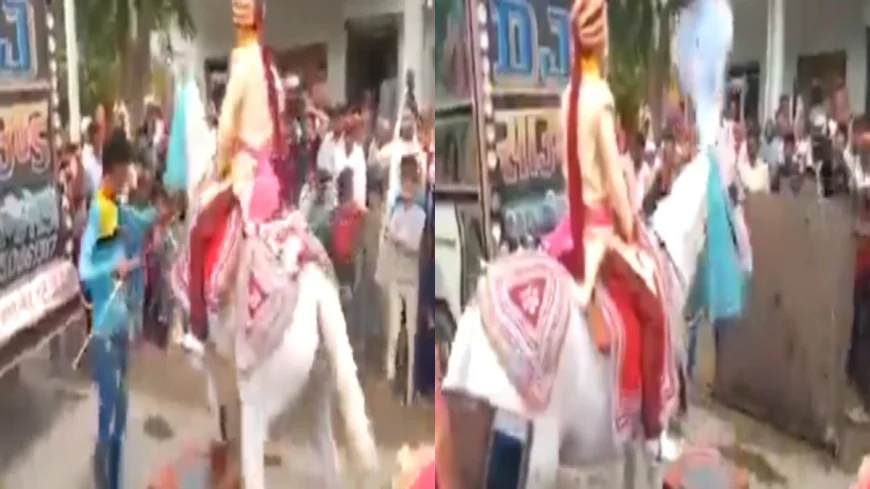 दूल्हे को लेकर 'फरार' हुई घोड़ी! वायरल वीडियो ने मचाया सोशल मीडिया पर तहलका