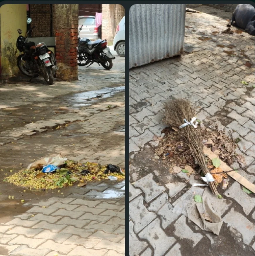 तहसील परिसर में कूड़े का अंबार, नगर पालिका बेखबर