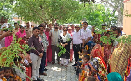 वृक्षारोपण से संवरेगा पर्यावरण: मंडलायुक्त ने बरहद में किया वृहद पौधारोपण