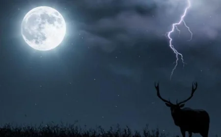 गुरु पूर्णिमा के अवसर पर 10 जुलाई 2025 को दिखाई देगा बक मून/ फुल मून