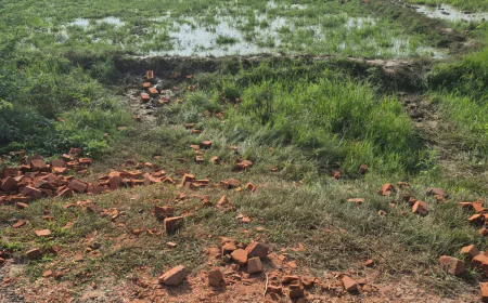 Etah News : थाना बागवाला क्षेत्र में भूमाफिया हुए सक्रिय