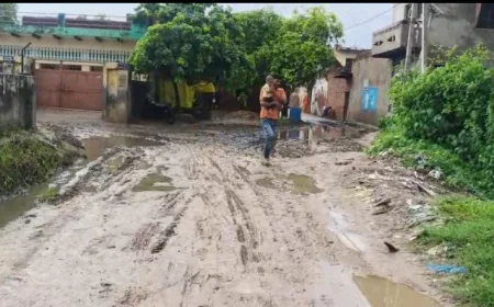 जलभराव बना ग्रामीणों के लिए  परेशानी, महिलाएं और स्कूली बच्चे हो रहे प्रभावित