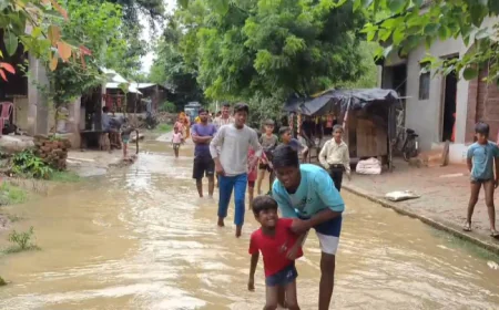 कन्हैय नगला बना तालाब – घुटनों तक पानी, विकास हुआ गायब