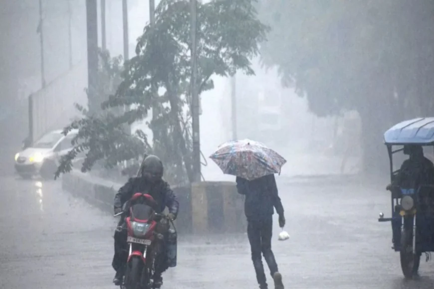 मॉनसून दिखाएगा अपना रंग, दो-तीन दिन जमकर होगी बारिश