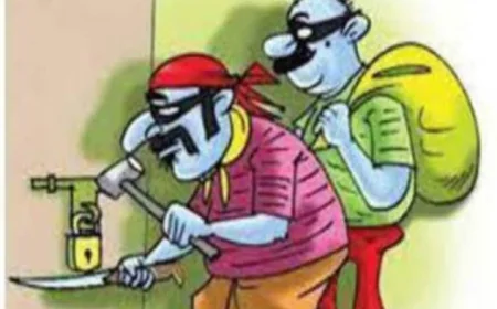 अंतर्राज्यीय चोर गैंग के 5 सदस्य गिरफ्तार, घरों और दुकानों में करते थे चोरी