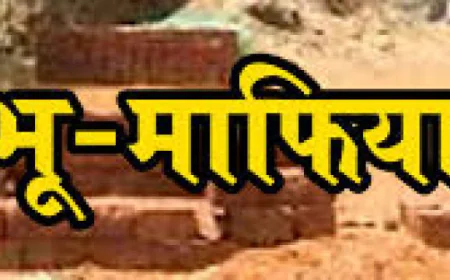 सरकारी स्कूल की जमीन पर अवैध निर्माण