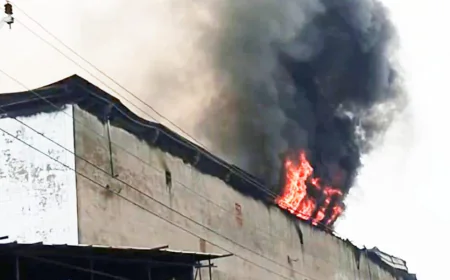 कोल्ड स्टोर में लगी भीषण आग, बड़ी घटना टली