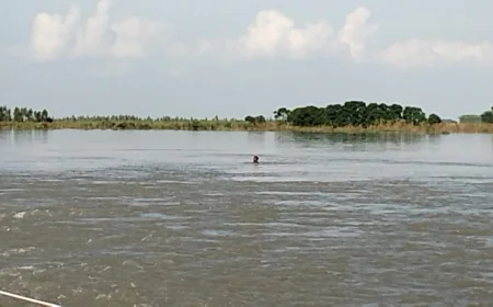 गंगा ने किया रौद्र रूप धारण :- तटवर्ती इलाके में दिखाई दे रहा चहुंओर पानी ही पानी