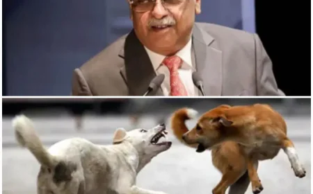 कुत्तों वाला केस मुझे ग्लोबल स्टार बना गया” – जस्टिस विक्रम नाथ ने CJI का जताया आभार