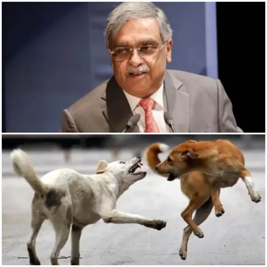 कुत्तों वाला केस मुझे ग्लोबल स्टार बना गया” – जस्टिस विक्रम नाथ ने CJI का जताया आभार