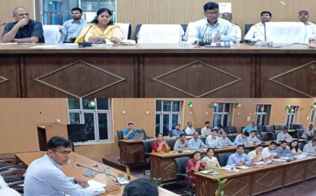 राजस्व वसूली, RC के निस्तारण और भू-माफिया चिन्हांकन में लाएं तेजी: डीएम