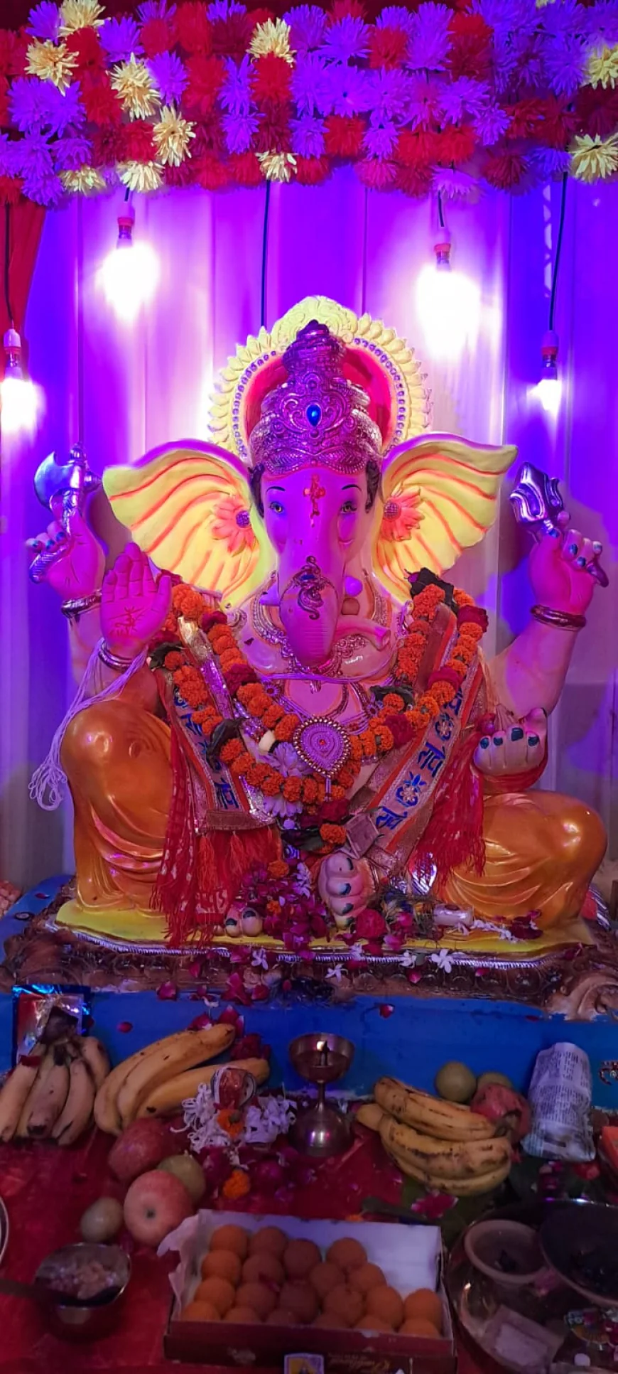 कायमगंज में बढ़े ही धूमधाम से 20 पांडालों में विराजमान हुए गणपति बप्पा
