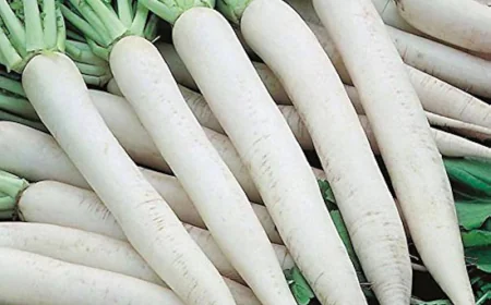 संजीवनी बूटी है मूली लेकिन सर्दी में इसके साथ बिल्कुल नहीं खाएं ये 5 चीजें