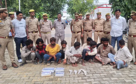 Mainpuri News : पुलिस मुठभेड़ में 12 गो तस्कर गिरफ्तार, 74 गोवंश बरामद