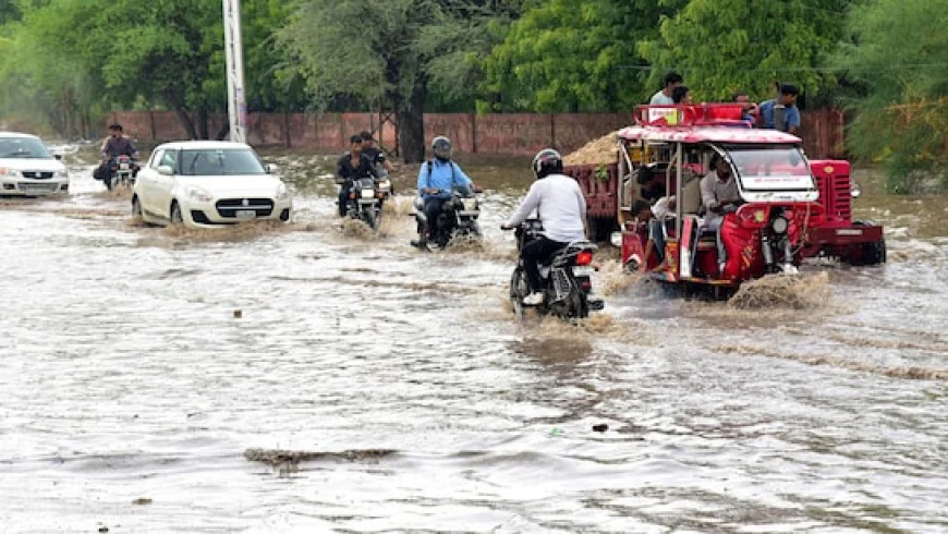 UP News : मूसलाधार बारिश का अलर्ट! इन जिलों में बिजली-बारिश से मचा हाहाकार