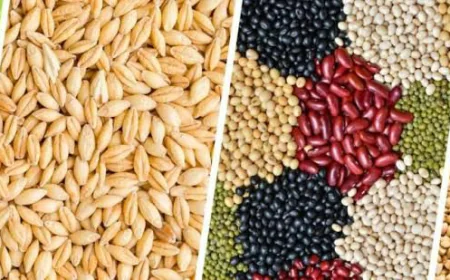 किसानों के लिए खरीफ 2025 के दौरान यूरिया की पर्याप्त उपलब्धता सुनिश्चित