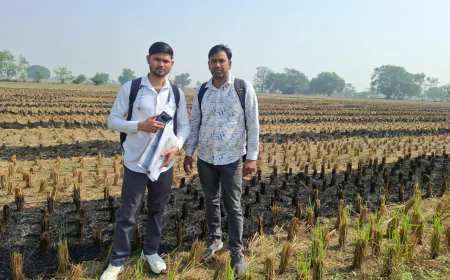 सावधान! पराली जलाने पर की जा रही है कड़ी कार्रवाई*