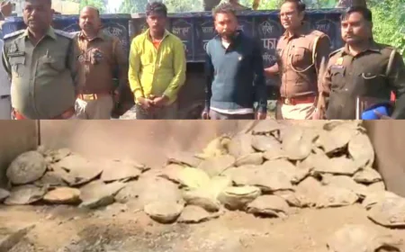 मैनपुरी - 197 जीवित कछुओं के साथ दो तस्कर गिरफ्तार