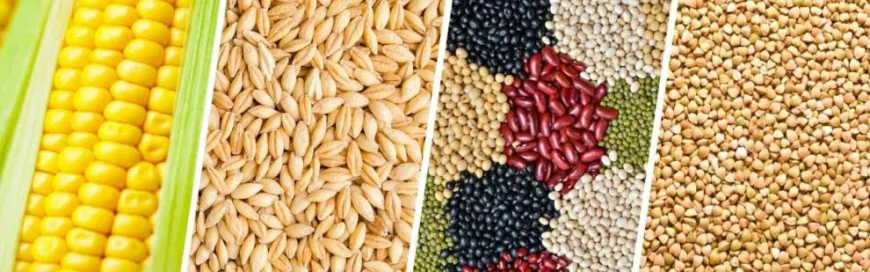 किसानों के लिए खरीफ 2025 के दौरान यूरिया की पर्याप्त उपलब्धता सुनिश्चित