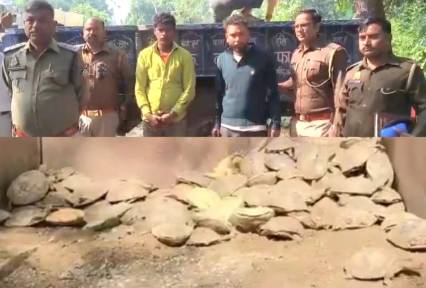 मैनपुरी - 197 जीवित कछुओं के साथ दो तस्कर गिरफ्तार