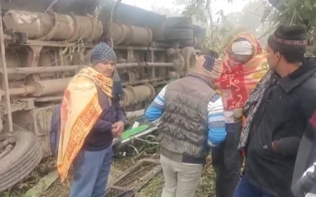 नीलगाय बचाने के प्रयास में रोडवेज बस पलटी, बड़ा हादसा टला, एक यात्री बैठा सकुशल बचा