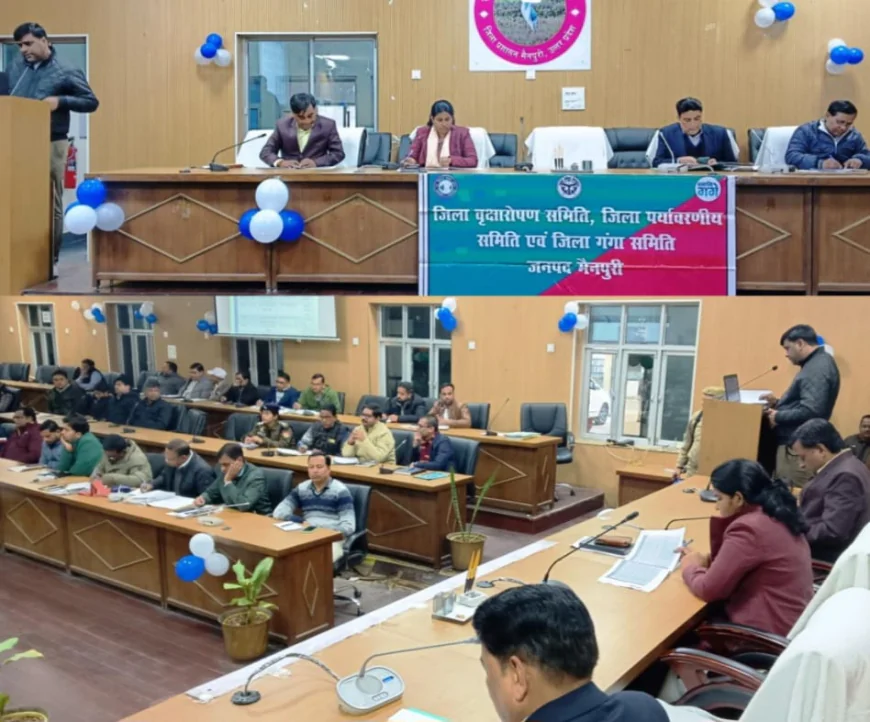 Mainpuri News : मुख्य विकास अधिकारी ने की पर्यावरण समितियों की समीक्षा; अवशेष पौधों की जियो टैगिंग के सख्त निर्देश