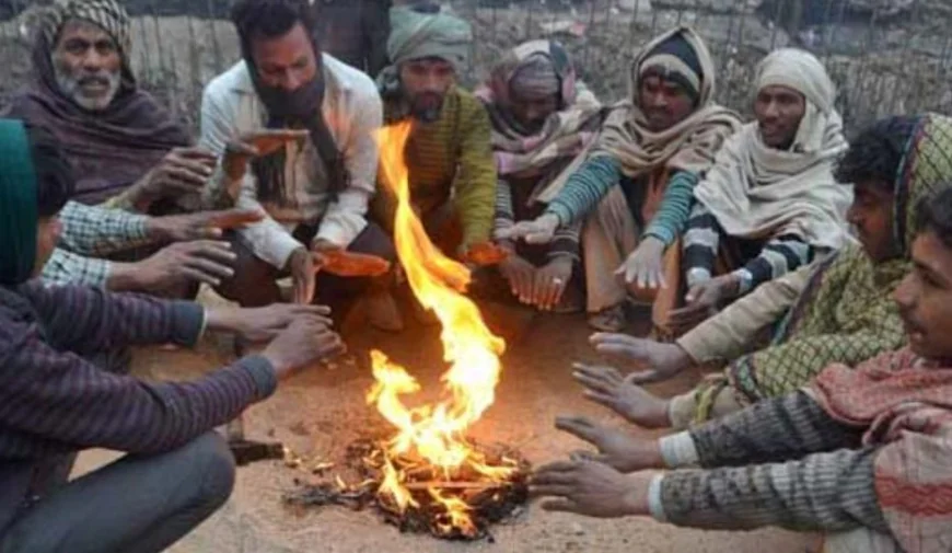 Farrukhabad News : सर्द हवाओं ने बढ़ाई गलन,धूप खिलने से मिली अल्पकालीन राहत