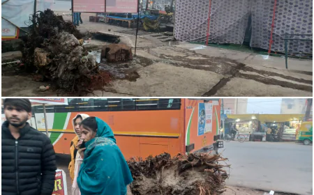 एटा में अलाव सिर्फ फोटो सेशन तक सिमटे, ज़मीनी हकीकत में ठंड से जूझते लोग