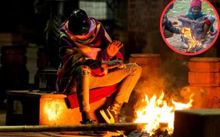 Heavy Rain And Cold wave : 11 और 12 जनवरी को भारी बारिश और शीतलहर की चेतावनी