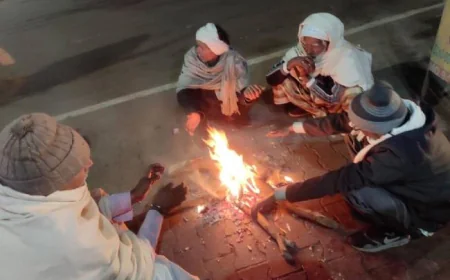 फर्रुखाबाद में फिर लौटी कड़ाके की ठंड: पाले और कोहरे से ठिठुरन बढ़ी, फसलों पर मिला-जुला असर