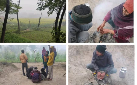 बारिश और पाले ने फिर बढ़ाई ठिठुरन, तापमान लुढ़ककर 9.9°C पहुंचा; फसलों पर नुकसान का संकट