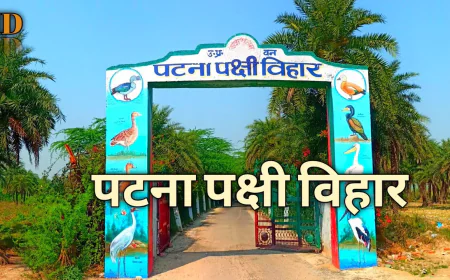 पटना पक्षी विहार को मिली अंतर्राष्ट्रीय पहचान,रामसर साइट घोषित