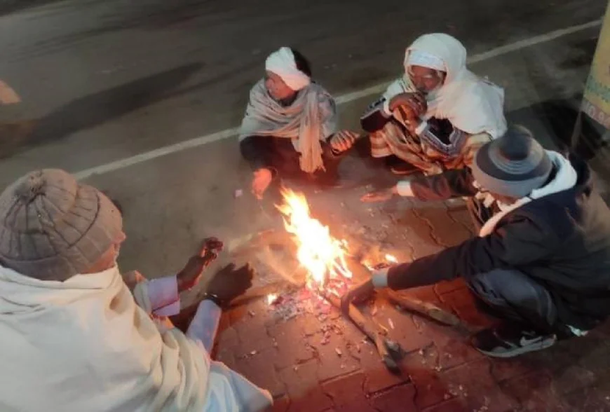 फर्रुखाबाद में फिर लौटी कड़ाके की ठंड: पाले और कोहरे से ठिठुरन बढ़ी, फसलों पर मिला-जुला असर