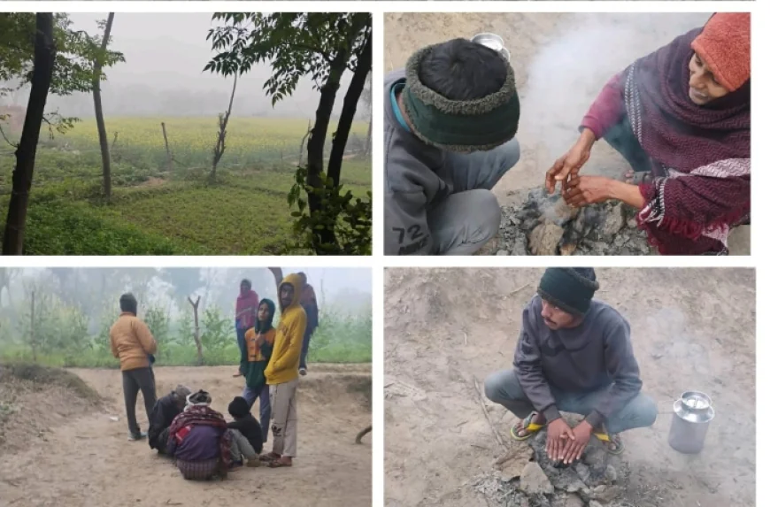 बारिश और पाले ने फिर बढ़ाई ठिठुरन, तापमान लुढ़ककर 9.9°C पहुंचा; फसलों पर नुकसान का संकट
