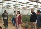 सीडीओ ने किया पॉलीहाउस का निरीक्षण, उन्नत खेती से किसान कमा रहे सालाना 20-25 लाख का मुनाफा