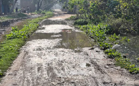 अमृतपुर की मुख्य सड़क बदहाल जिला पंचायत सदस्य ने बनवाने को की मांग