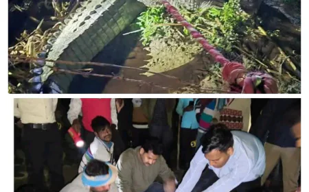 बिहारीपुर गांव में घुसा 12 फीट लंबा मगरमच्छ, 4 घंटे चले रेस्क्यू के बाद पकड़ा गया