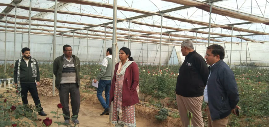 सीडीओ ने किया पॉलीहाउस का निरीक्षण, उन्नत खेती से किसान कमा रहे सालाना 20-25 लाख का मुनाफा