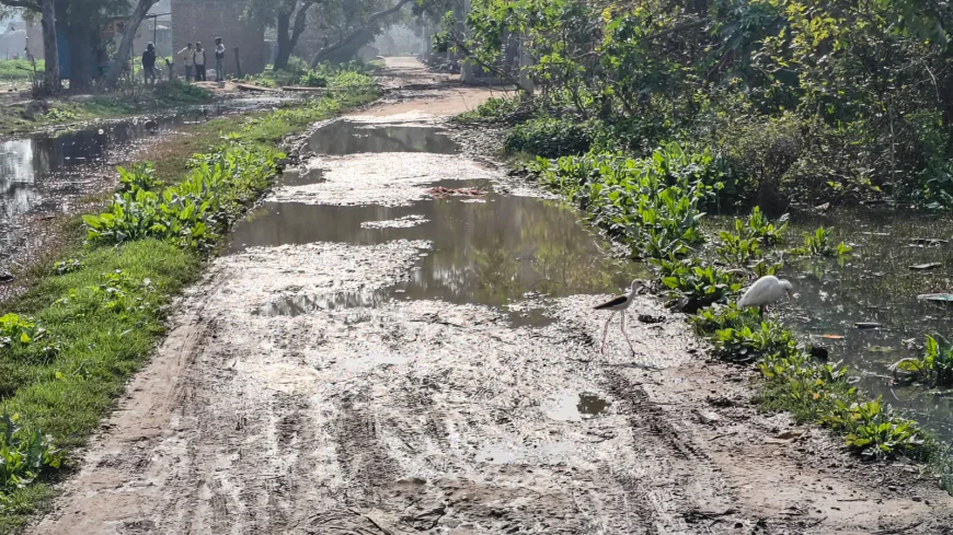 अमृतपुर की मुख्य सड़क बदहाल जिला पंचायत सदस्य ने बनवाने को की मांग